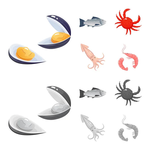 Векторная иллюстрация свежего и ресторанного символа. Коллекция свежих и морских символов запасов для интернета . — стоковый вектор