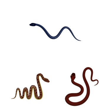 Zehirli ve kötü logosu izole nesne. Web için zehir ve bite stok sembolü koleksiyonu.