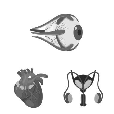 İç ve tıbbi işaret vektör tasarımı. İç ve sağlık stok vektör illüstrasyon koleksiyonu.