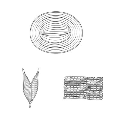 Lif ve kas sembolü yalıtılmış nesne. Hisse senedi için lif ve vücut vektör simge kümesi.