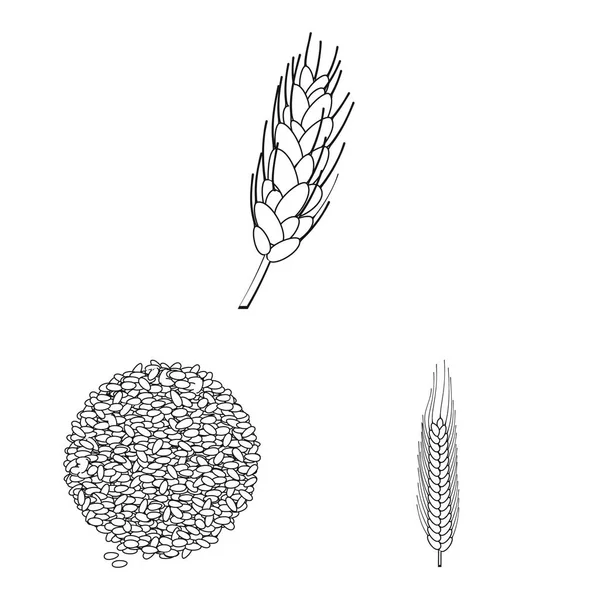 Isolierte Objekt der Landwirtschaft und Landwirtschaft Ikone. Sammlung von landwirtschaftlichen Symbolen und Pflanzenbeständen für das Web. — Stockvektor