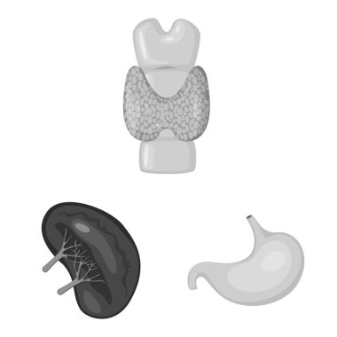 İç ve tıbbi simge vektör tasarımı. İç kümesi ve web için sağlık hisse senedi simgesi.