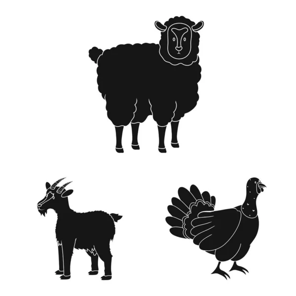 Vektorillustration von Ranch und organischem Zeichen. Ranch- und Food-Vektor-Icon für Aktien. — Stockvektor