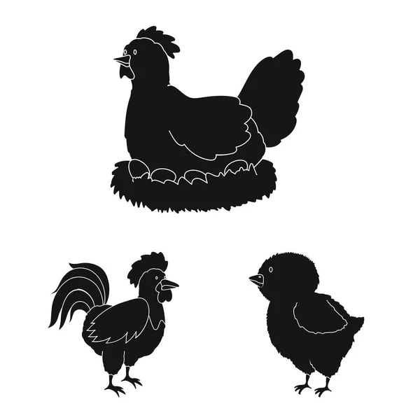 Diseño vectorial de rancho e icono orgánico. Colección de rancho y alimento símbolo de stock para la web . — Vector de stock