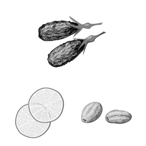 Ilustración vectorial del icono de la vitamina y la naturaleza. Conjunto de vitamina y secado vector de stock ilustración . — Archivo Imágenes Vectoriales