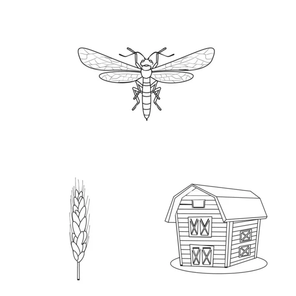 農業と農業記号のベクター イラスト。農業と植物の株式ベクトル図のセット. — ストックベクタ