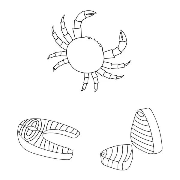 Векторная иллюстрация еды и морского знака. Набор продуктов питания и здоровый символ запасов для сети . — стоковый вектор
