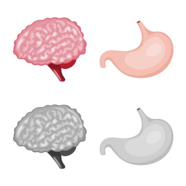 Biyoloji ve bilimsel simge yalıtılmış nesne. Web için biyoloji ve laboratuvar hisse senedi simgesi kümesi.