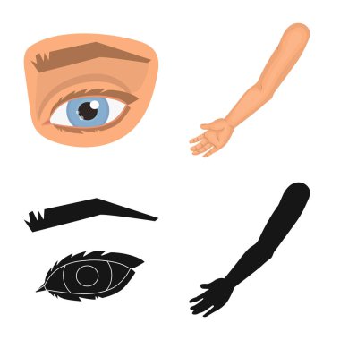 Vücut ve bölümü simge vektör çizim. Vücut ve anatomi hisse senedi simgesi için web topluluğu.