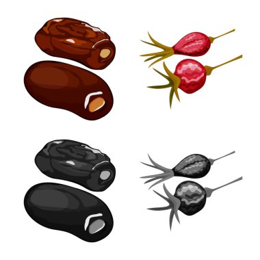 Gıda ve ham simge vektör Illustration. Web için gıda ve doğa hisse senedi simgesi kümesi.