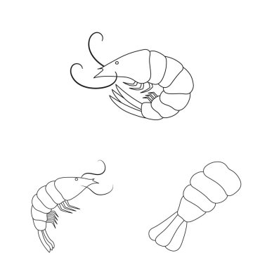 Gıda ve deniz simge vektör Illustration. Gıda ve hayvan hisse senedi simgesi için web topluluğu.