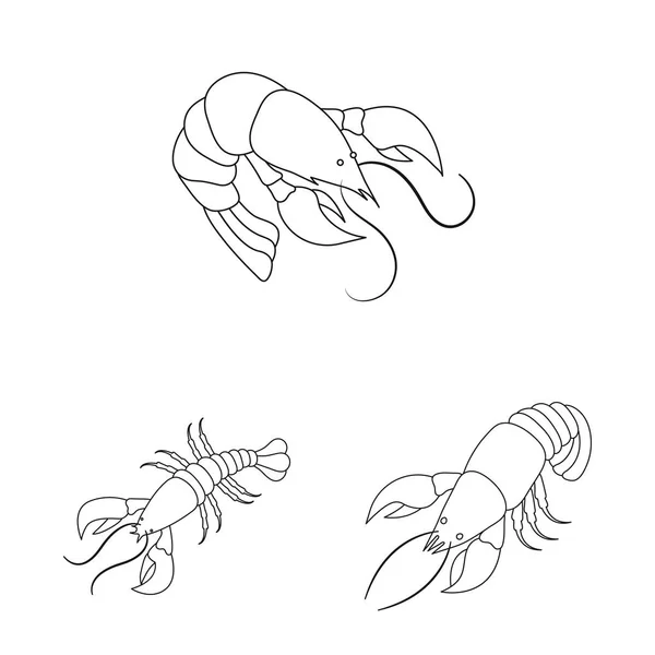 Conception vectorielle de la nourriture et icône de la mer. Illustration vectorielle de l'ensemble des denrées alimentaires et des animaux . — Image vectorielle