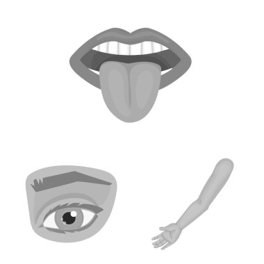 Vücut ve bölümü simge vektör Illustration. Hisse senedi için vücut ve anatomi vektör simge kümesi.