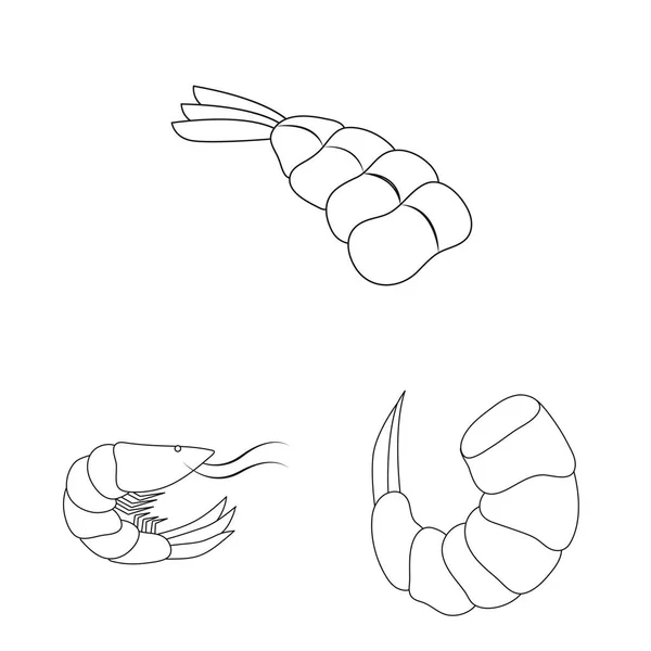 음식과 바다 로고의 벡터 그림입니다. 주식에 대한 음식과 동물 벡터 아이콘의 컬렉션. — 스톡 벡터