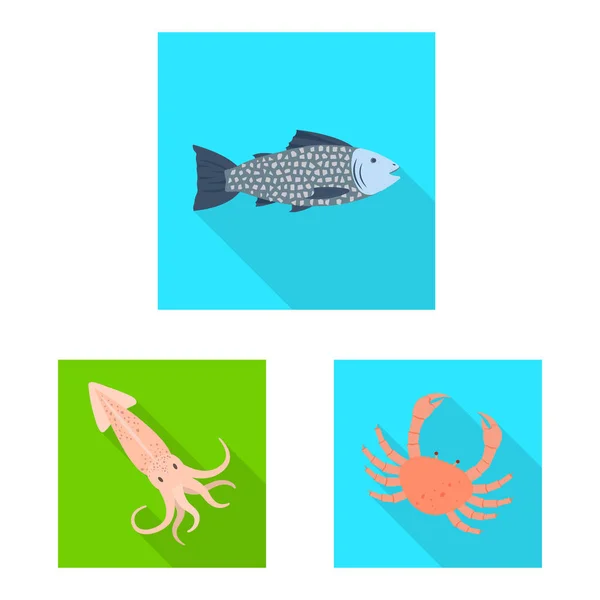 Vektor-Design von Produkt-und Ozean-Logo. Set von Produkt- und Restaurantvektorillustrationen. — Stockvektor