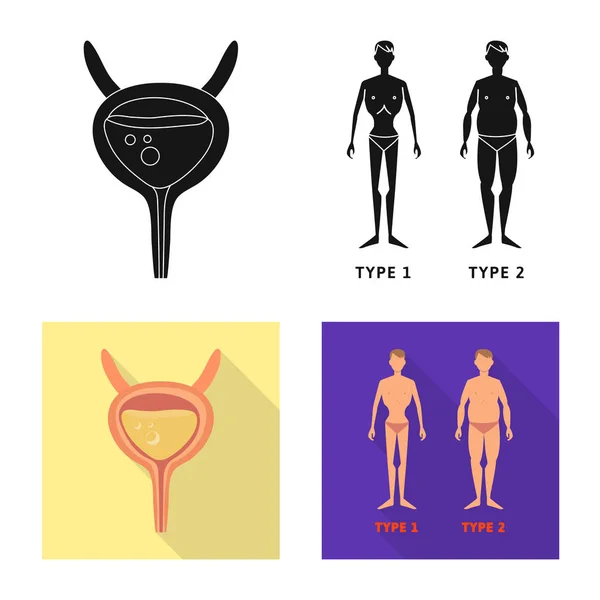 Ilustração vetorial da dieta e símbolo de tratamento. Conjunto de dieta e medicina vetor ícone para estoque . — Vetor de Stock