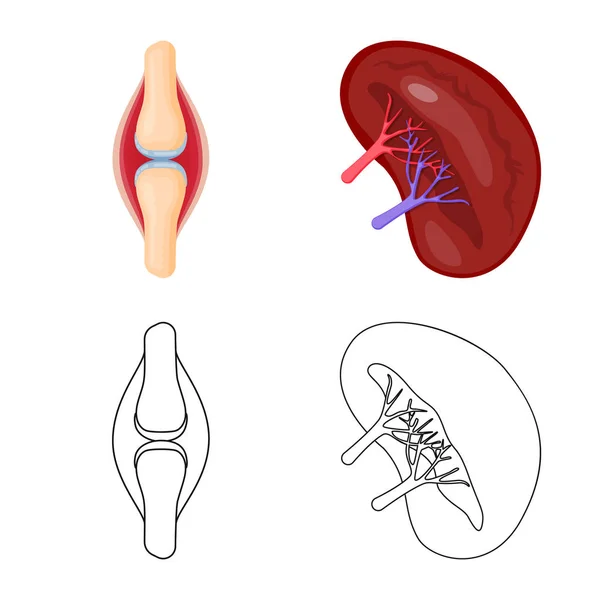 Diseño vectorial de la biología y símbolo científico. Conjunto de símbolo de stock de laboratorio y biología para web . — Archivo Imágenes Vectoriales