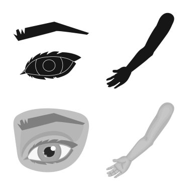 Vücut ve bölümü logosu yalıtılmış nesne. Vücut ve anatomi hisse senedi vektör çizim topluluğu.