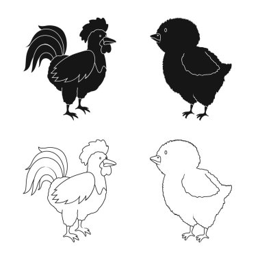 Üreme ve mutfak logosu yalıtılmış nesne. Set ıslahının ve organik stok vektör çizim.