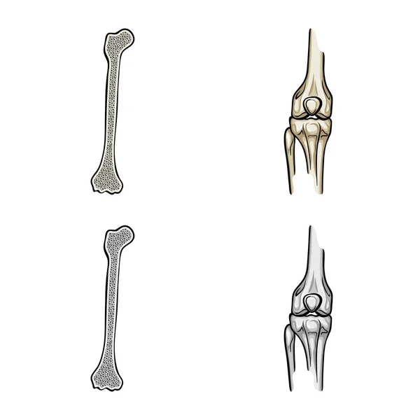 Vector ontwerp van geneeskunde en kliniek teken. Verzameling van geneeskunde en medische voorraad vectorillustratie. — Stockvector