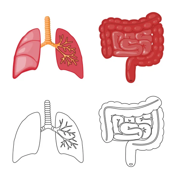 Objeto isolado de biologia e ícone científico. Conjunto de símbolos de estoque de biologia e laboratório para web . — Vetor de Stock