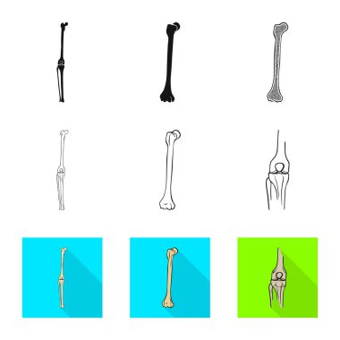 Tıp ve klinik sembolü yalıtılmış nesne. İlaç ve tıbbi hisse senedi vektör çizim koleksiyonu.