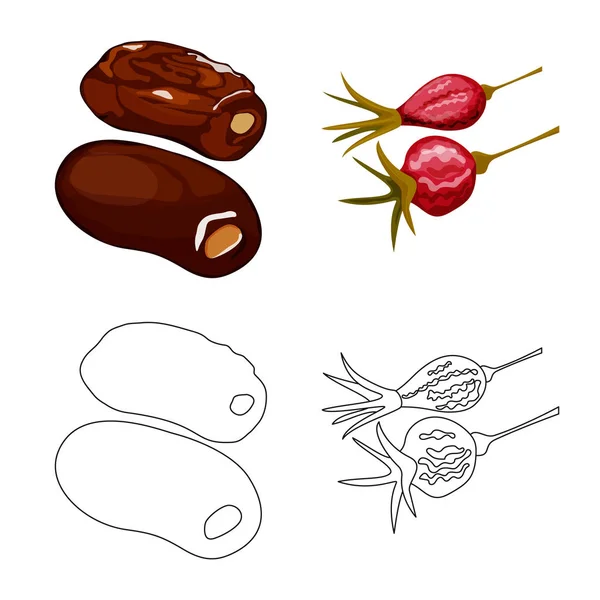 Ilustración vectorial de alimentos e icono crudo. Conjunto de alimentos y naturaleza vector icono para stock . — Vector de stock