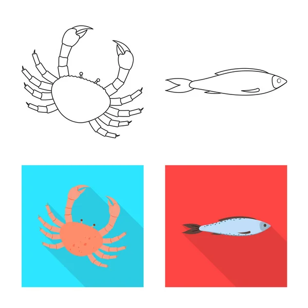 Векторная иллюстрация свежей и ресторанной иконы. Коллекция свежих и морских символов запасов для интернета . — стоковый вектор