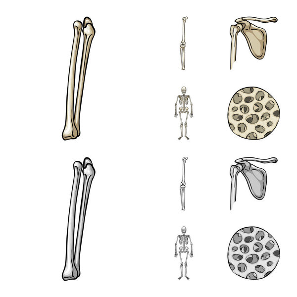 Векторное проектирование медицины и символа клиники. Коллекция лекарственных средств и медицинского инвентаря
.