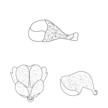 Gıda vektör tasarımı ve ızgara sembolü. Stok için yiyecek ve kuş vektör simgesi koleksiyonu.