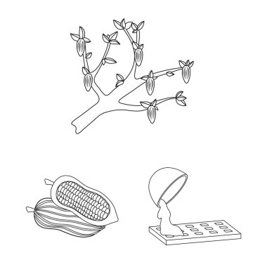 Kakao ve fasulye logosu izole nesne. Web için kakao ve tatlılık stok sembolü seti.