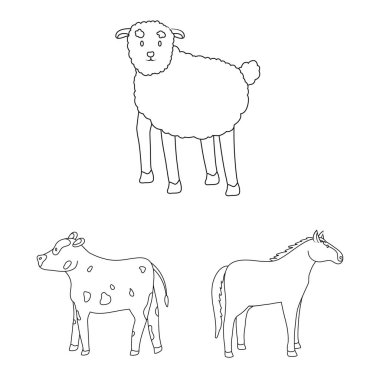 Ev yapımı ve kırsal sembolü vektör tasarımı. Ev yapımı ve tarım stok vektör illüstrasyon seti.