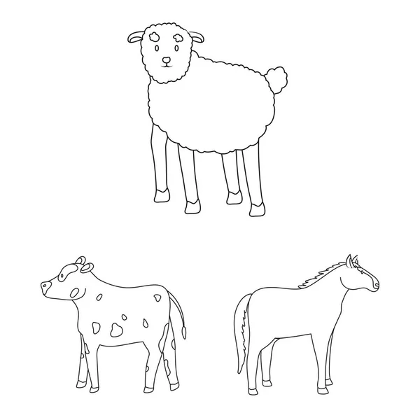 Diseño vectorial de símbolo casero y campestre. Conjunto de ilustración de vector de stock casero y agrícola . — Vector de stock