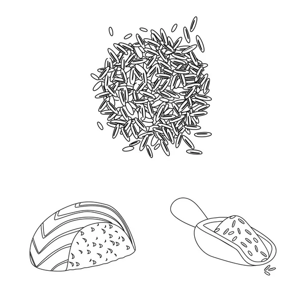 Diyet ve pişirme logo yalıtılmış nesne. Diyet ve web için organik hisse senedi simgesi.