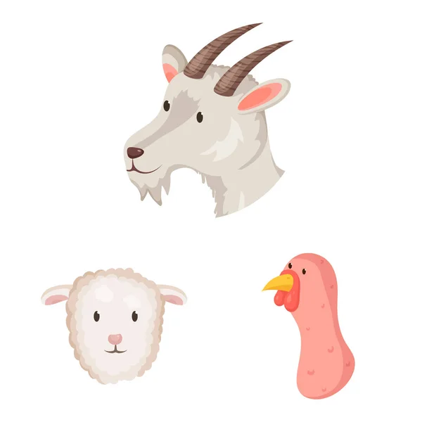 Ilustração vetorial de fazenda e ícone de cabeça. Conjunto de fazenda e símbolo de estoque caseiro para web . — Vetor de Stock