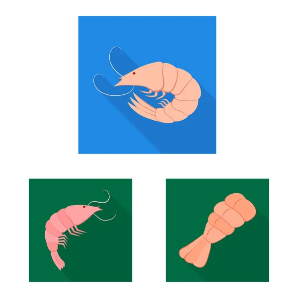 Ilustração vetorial do ícone do aperitivo e do marisco. Conjunto de aperitivo e símbolo de estoque de oceano para web . — Vetor de Stock