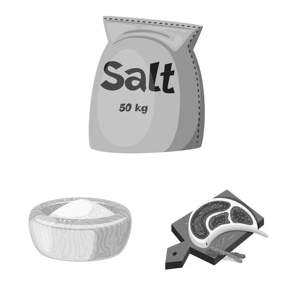 Ilustración vectorial del logotipo de la sal y los alimentos. Conjunto de sal y mineral símbolo de reserva para la web . — Archivo Imágenes Vectoriales