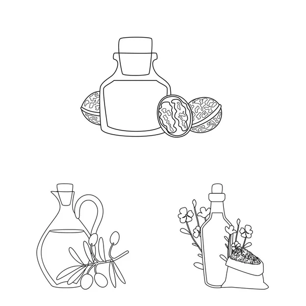 Ilustración vectorial de símbolo saludable y vegetal. Conjunto de símbolos de stock saludables y orgánicos para la web . — Archivo Imágenes Vectoriales