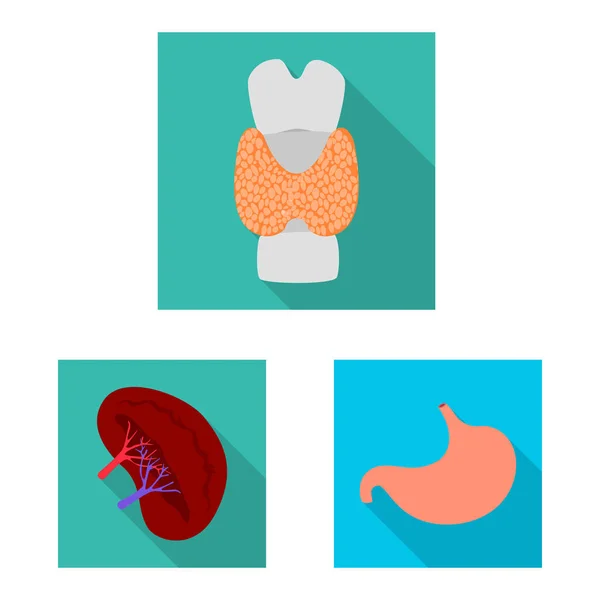 Objeto aislado de símbolo humano y de salud. Colección de ilustración vectorial humana y científica . — Archivo Imágenes Vectoriales