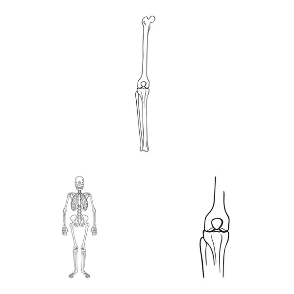 Objet isolé de médecine et signe clinique. Ensemble de médecine et symbole de stock médical pour le web . — Image vectorielle