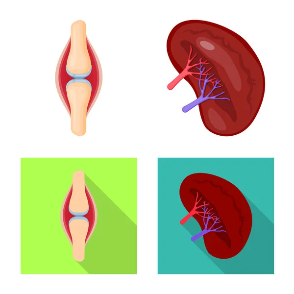 Vektor design av biologi och vetenskapliga symbol. Samling av biologi och laboratorium vektor ikonen för lager. — Stock vektor