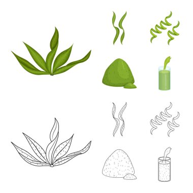 Protein ve deniz simge vektör Illustration. Protein ve doğal hisse senedi vektör çizim.