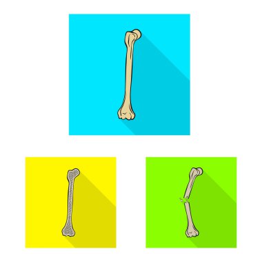 Kemik ve iskelet sembolü izole nesne. Web için kemik ve insan stok sembolü koleksiyonu.