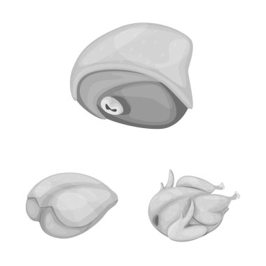Mutfak vektör tasarımı ve kuş işareti. Web için mutfak ve kümes hayvanı stok sembolü seti.