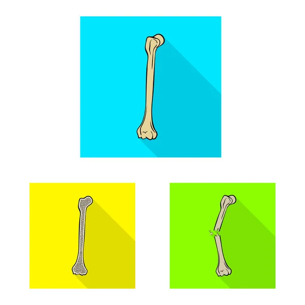 Isolerat objekt av ben och skelett symbol. Insamling av ben-och Human lager symbol för webb. — Stock vektor