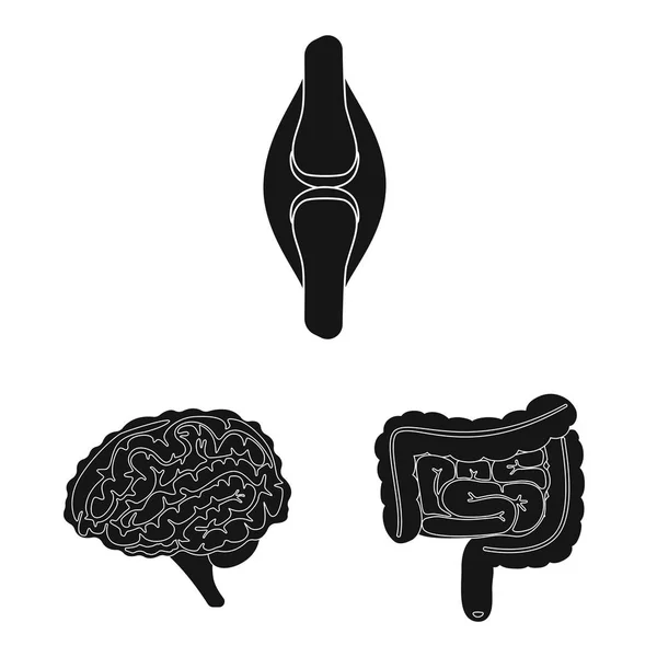 Ilustración vectorial del logotipo de investigación y laboratorio. Colección de investigación e ilustración del vector de stock de órganos . — Vector de stock