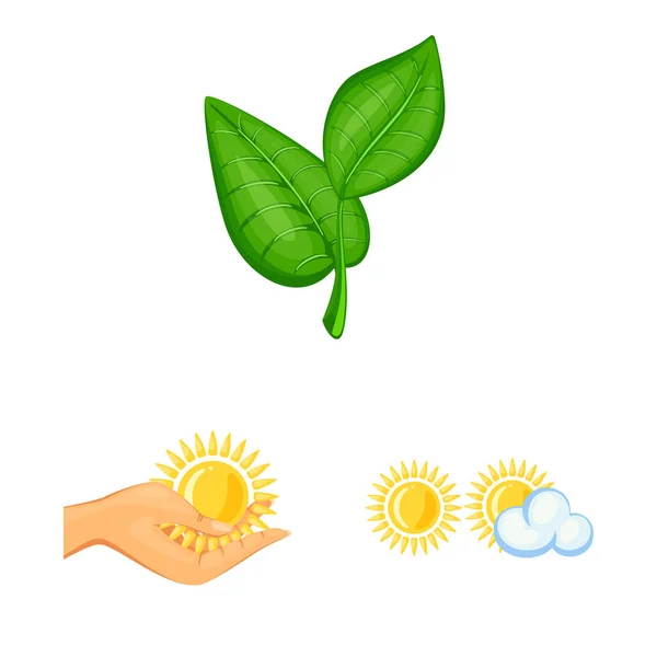 Vector illustration of and organic icon. Collection of and Solar stock vector illustration. — Stock Vector