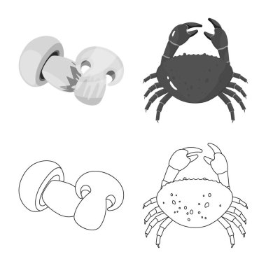 Tat ve ürün logo vektör tasarımı. Toplama tat ve hisse senedi simgesi web için pişirme.