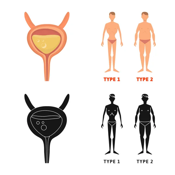 Objeto aislado de dieta y signo de tratamiento. Conjunto de dieta y medicina símbolo de stock para web . — Vector de stock