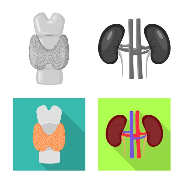 Ilustración vectorial de la biología y el signo científico. Colección de biología y vector de laboratorio icono para stock . — Archivo Imágenes Vectoriales